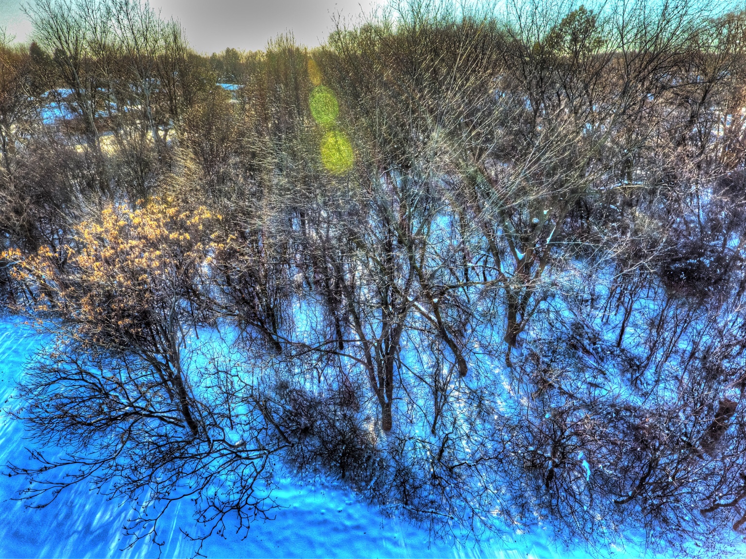 IMG_1516.jpg