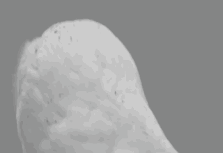 113298