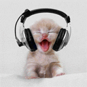 kitten_in_headphones_animated_avatar_128x128_10151.gif