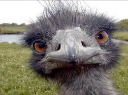 looking at ya.jpg