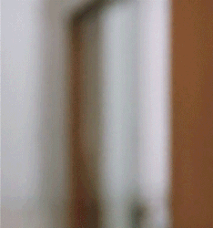ms-PLn78C.gif