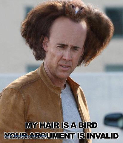 my hair is a bird your argument is invalid.jpg