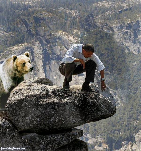 Obama- bear.jpg