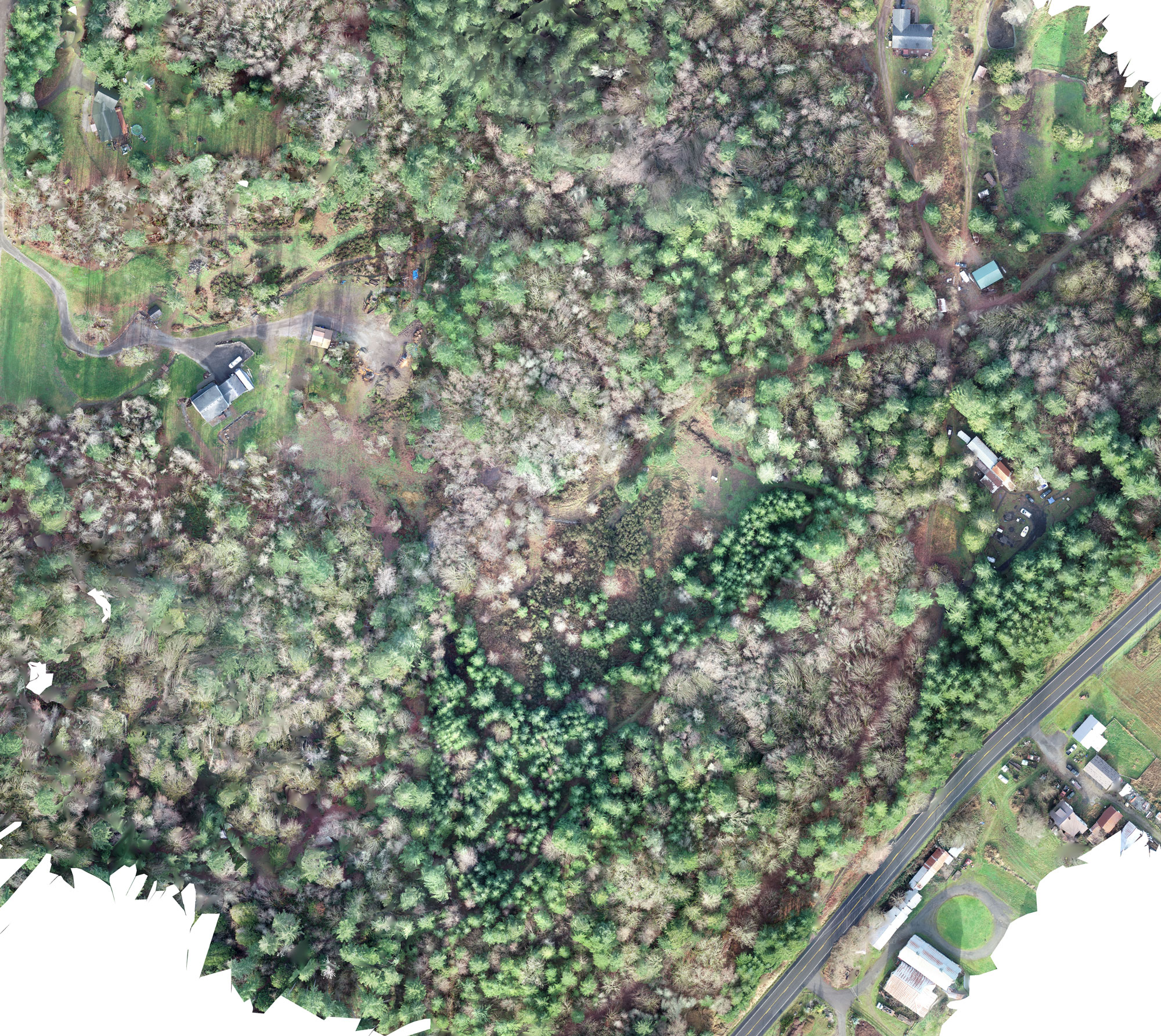 odm_orthophoto-2k.jpg