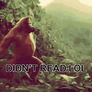 Orangutan-Didnt-Read-It-Dance-In-The-Rainforest-From-a-Commercial.gif