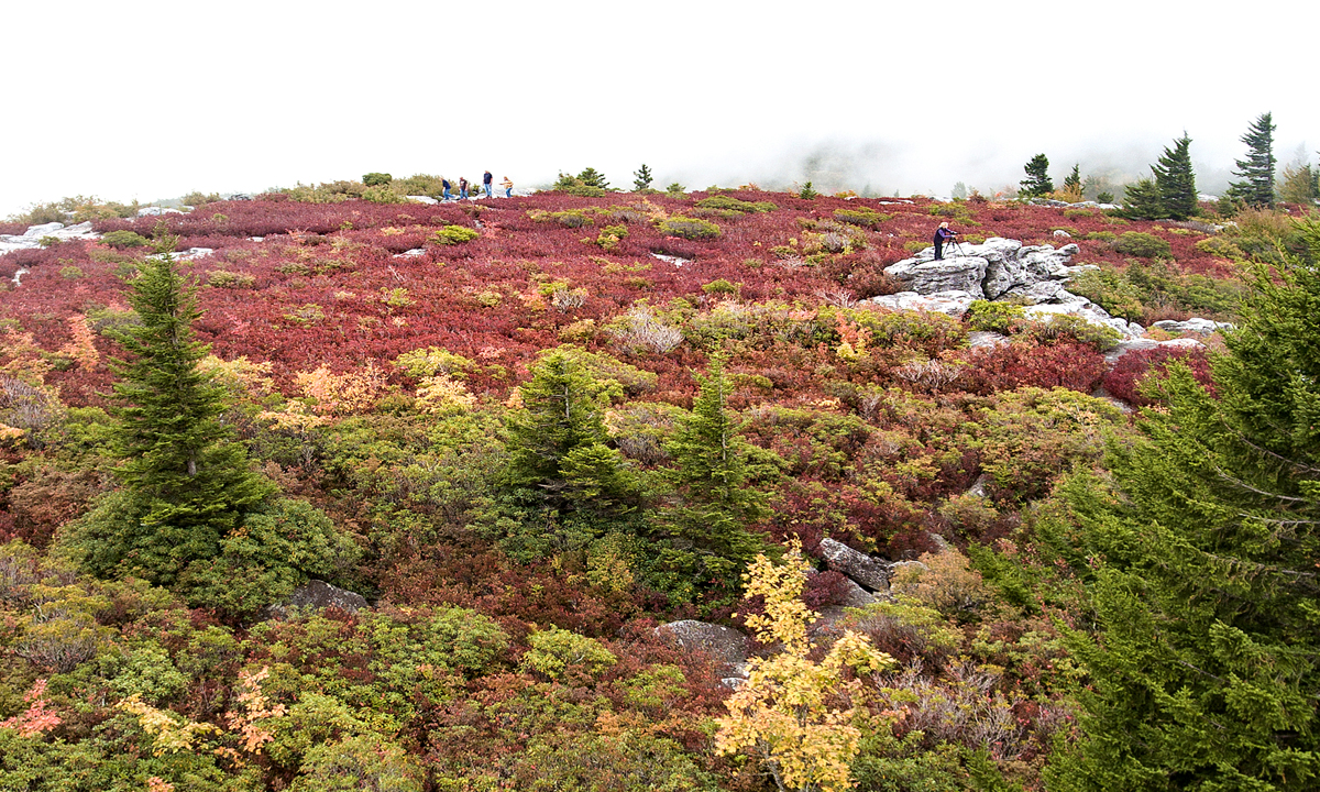 photoman.jpg