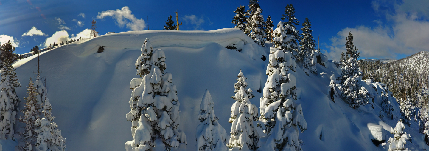 Pickett Peak pines in snow copy.jpg
