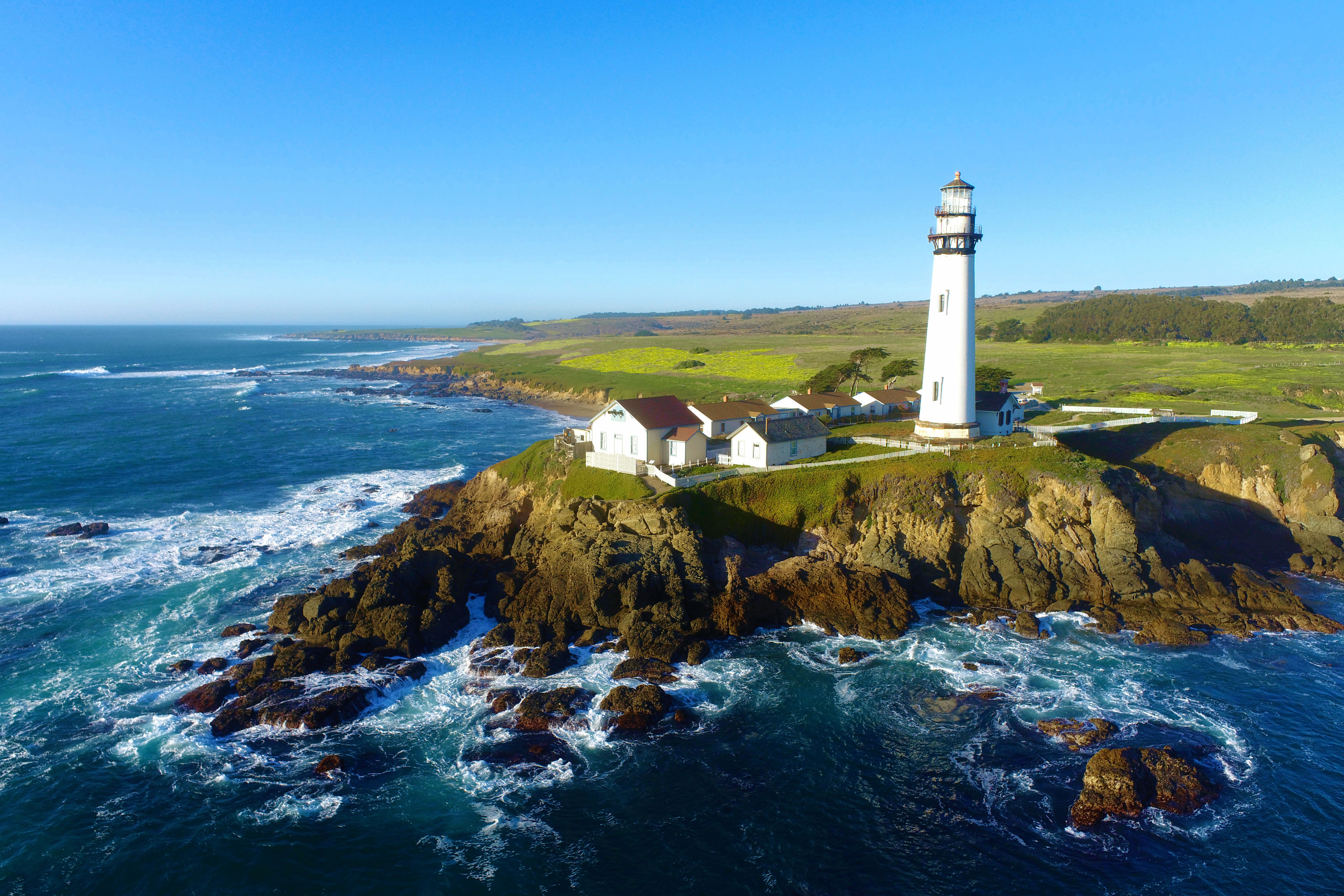 PIGEON POINT LIGHTHOUSE NORTH VIEW WILDFLOWERS RYAN BARRETT.jpg