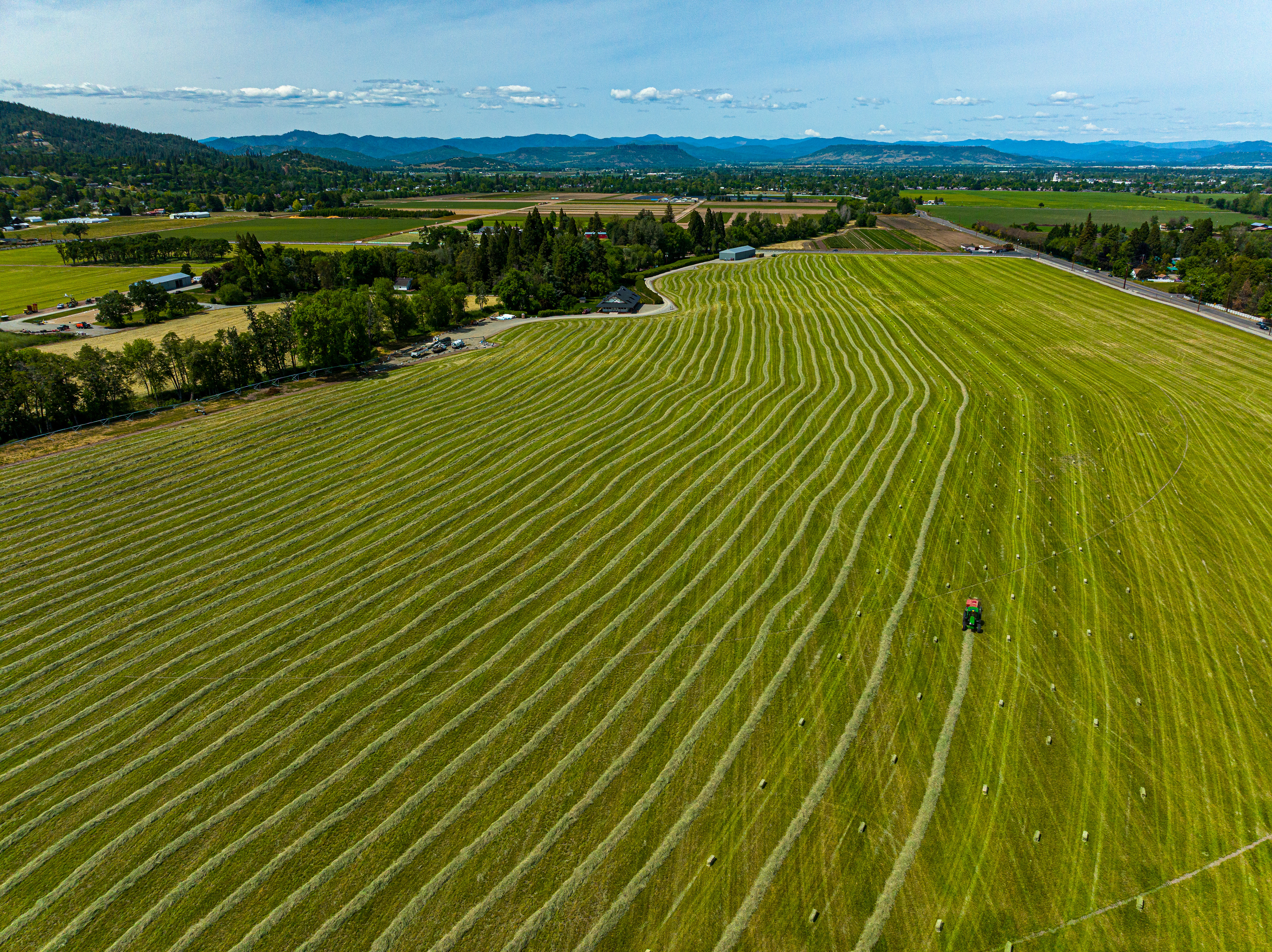 Rogue Valley Hayfield 5.22-014.jpg