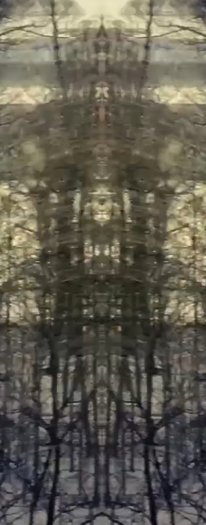 Screen Shot 2019-02-24 at 1.02.13 PM.png