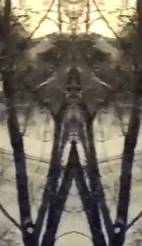 Screen Shot 2019-02-24 at 12.44.43 PM.png
