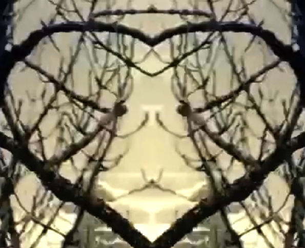 Screen Shot 2019-02-24 at 12.48.04 PM.png