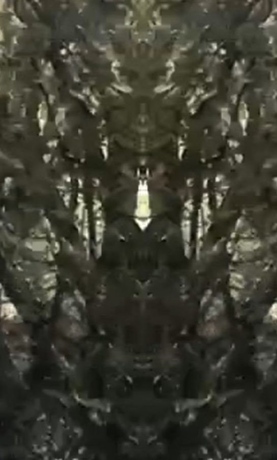 Screen Shot 2019-02-24 at 12.58.42 PM.png