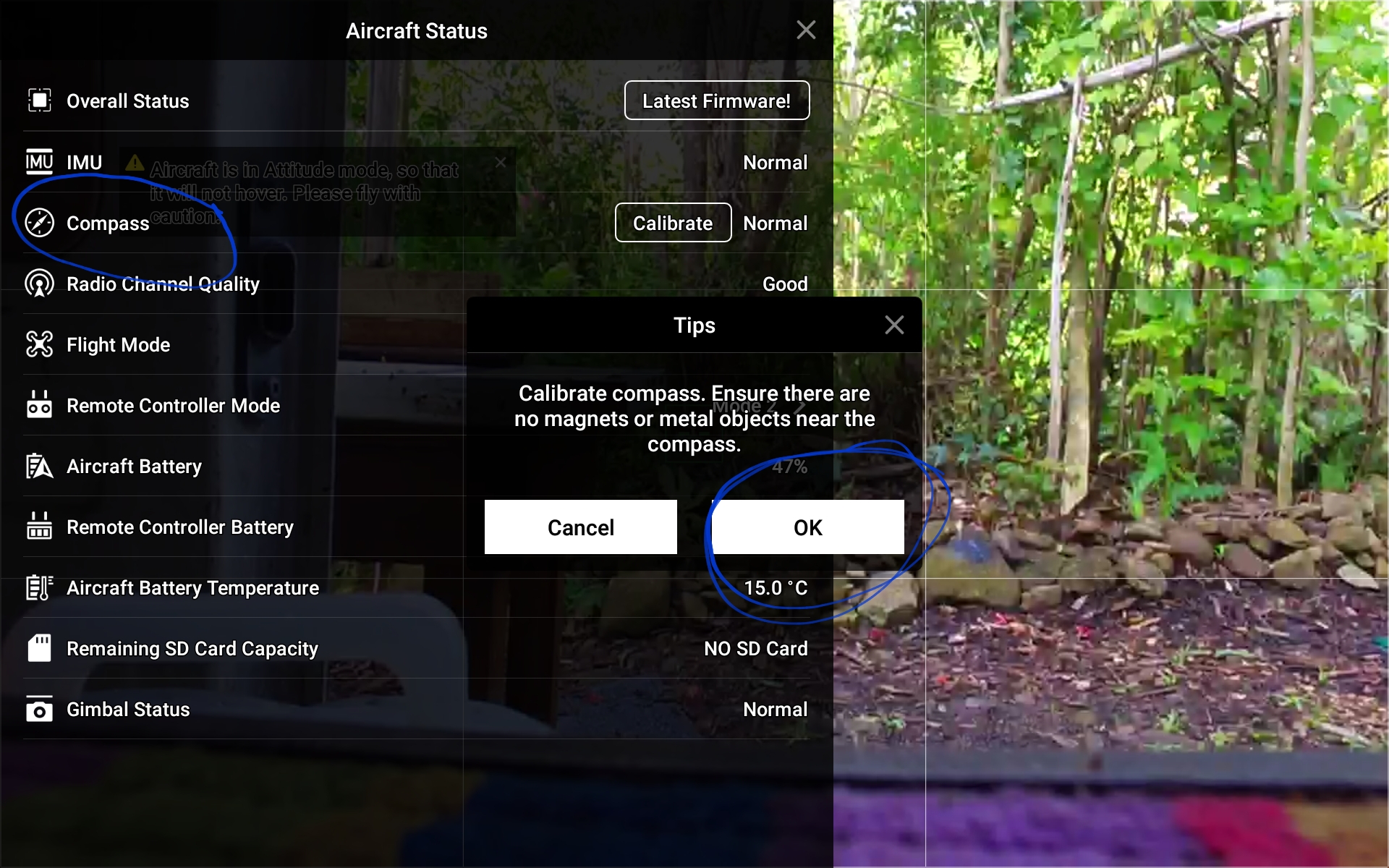 Screenshot_20190821-152308_DJI GO.jpg