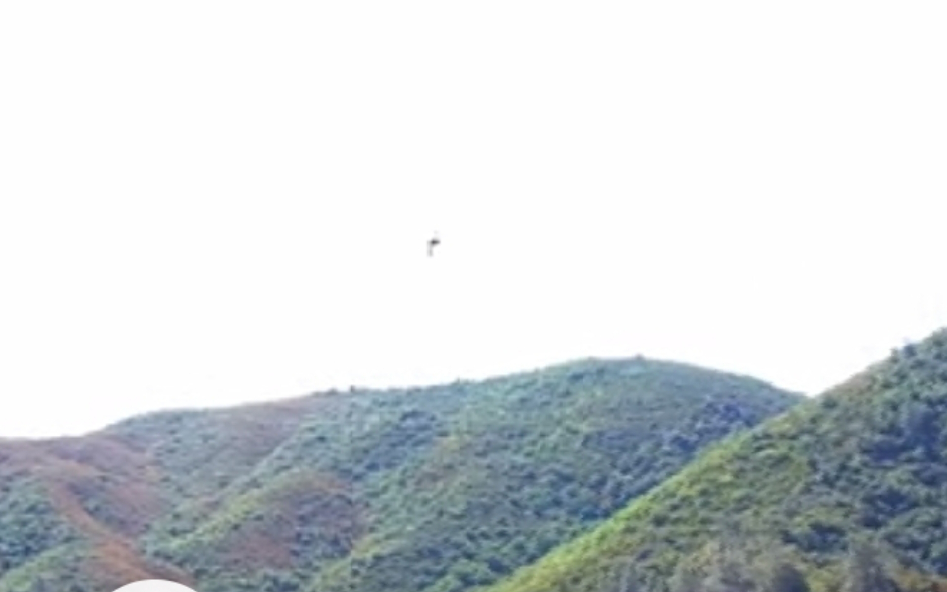 Screenshot_20190912-142805_Gallery.jpg