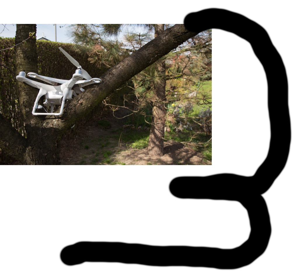 stuck-in-tree.jpg