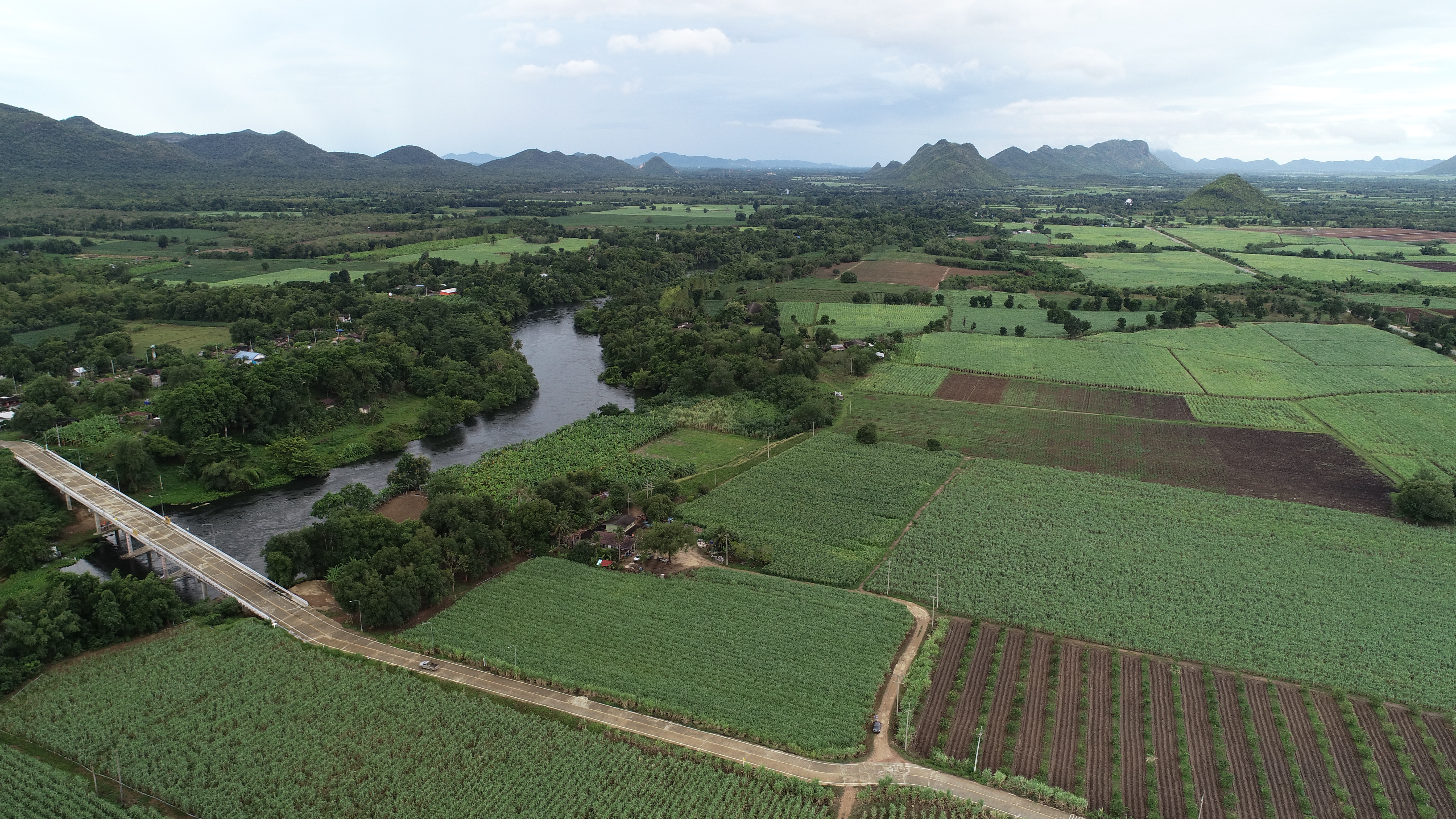 Thai farm land.JPG