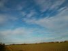 IMG_20140110_094701.jpg