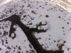 Winter Camping at Washoe001.jpg