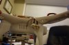 DSC03666.JPG