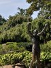MVIMG_20180822_155222.jpg