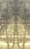 Screen Shot 2019-02-24 at 12.45.35 PM.png