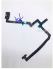 Capture.PNG