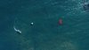 DJI_0012.jpeg