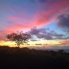 IMG_17823622946807.jpeg