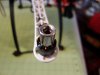 socket on motor.jpg