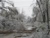 ice storm pic.jpg