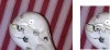 Untitled.png