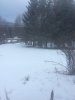EE50869B-E22E-4175-899A-EA96E715A894.jpeg
