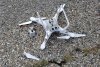 Prop Failure 20200929a.jpg