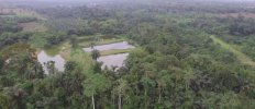 Fish Lakes by the Forest.jpg.jpg