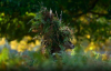 Andy Deer.png