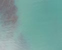 DJI_0920.JPG