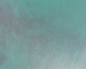 DJI_1080.JPG