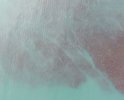 DJI_3430.JPG