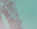 DJI_3620.JPG