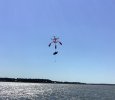 Fish drop 1.jpeg