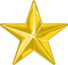 Gold star.jpg