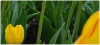 upload_2015-4-24_10-46-29.png