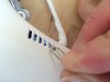 thumb_IMG_3504_1024.jpg