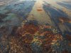 DJI_0023.JPG