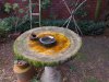 DJI_0061.JPG