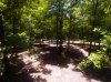 DJI_0029.jpg