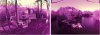purplephantom.jpg