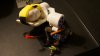 DSC06578.JPG