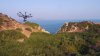 DJI S1000 video still.jpg
